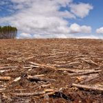 Prioritatea Zero a politicienilor