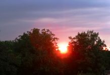 O femeie și-a uitat o geantă cu bani într-un autobuz din Cluj. Oamenii s-au mobilizat să o găsească.