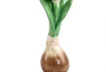 Înșelătoria bulbilor de tulipan și monedele VIRTUALE