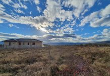 Ajunge Apa la Bunicuța cu Plăcinte din Colonia oropsită a mărețului Cluj. Exclusivitate!